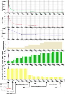 Case Report: Fatal Multiorgan Failure and Heterochronous Pneumonitis Following Pembrolizumab Treatment in a Patient With Large-Cell Neuroendocrine Carcinoma of Lung